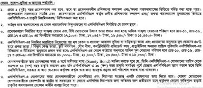 বেতন, সুযোগ-সুবিধা এবং অন্যান্য শর্তাবলি