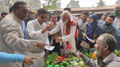 স্বতন্ত্রদের সঙ্গে লড়েই জিততে চান নৌকা-লাঙ্গলের প্রার্থীরা