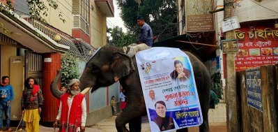হাতি দিয়ে চালানো হচ্ছে সংবর্ধনা অনুষ্ঠানের প্রচারণা (ছবি: প্রতিনিধি) 