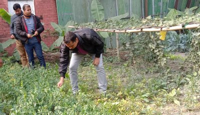 দিনাজপুর সদর সার্কেলের অতিরিক্ত পুলিশ সুপার শেখ মো. জিন্নাহ আল মামুন এসব শাক-সবজি চাষের তত্ত্বাবধান করেন 
