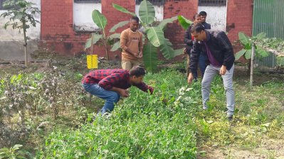 উৎপাদিত বিষমুক্ত শাকসবজি পাঠানো হয় পুলিশ সদস্যদের বাড়িতে