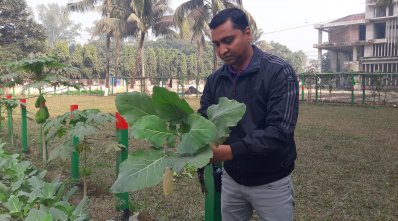 ৩৩ রকমের শাকসবজি উৎপাদন করছেন পুলিশ সদস্যরা