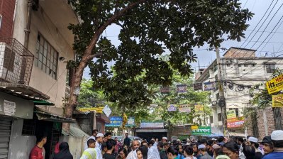 বাড়ি লাগোয়া চালতা গাছ