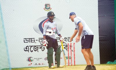 ঐচ্ছিক অনুশীলনে একটি ছবি।