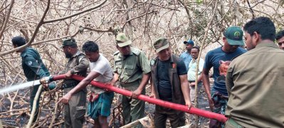 সুন্দরবনের আগুন নেভানোর কাজে দায়িত্বরত কর্মীরা