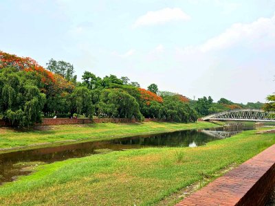 কৃষ্ণচূড়ার লালে সেজেছে নগরী (ফটো স্টোরি)