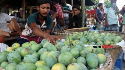 বিগত বছরের তুলনায় এবার মৌসুমের শুরু থেকেই দাম বেশি