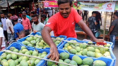 প্রতি মণ দুই হাজার ৪০০ থেকে তিন হাজার টাকা পর্যন্ত বিক্রি