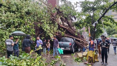 গাড়ির ওপর ভেঙে পড়েছে গাছ