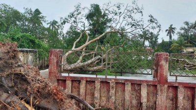 তিন হাজারের বেশি গাছপালা উপড়ে পড়েছে