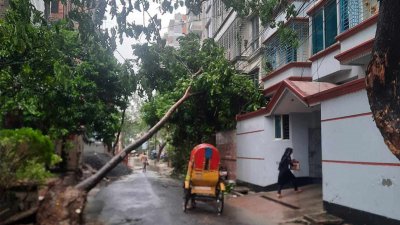 গাছ পড়ে তার ছিঁড়ে বিদ্যুৎ সরবরাহ বন্ধ হয়ে গেছে