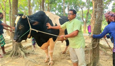 ‘উড়াল সড়কের’ দাম ১৫ লাখ!