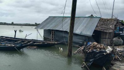 ২৮ হাজার হাঁস-মুরগির মৃত্যু, ২৫ কোটি টাকার গবাদিপশুর ক্ষতি