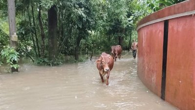 সিলেটে বন্যার শঙ্কা, বাড়ছে নদীর পানি