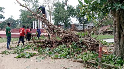 ৫ মিনিটের ঝড়ে উড়ে গেছে টিনের চালা, ভেঙেছে গাছ-বৈদ্যুতিক খুঁটি