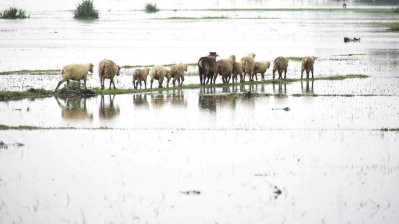 পর্যটনকেন্দ্রগুলো বন্ধ ঘোষণা করা হয়েছে