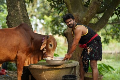 মাস্তানকে খাওয়াচ্ছেন মুশফিক আর ফারহান