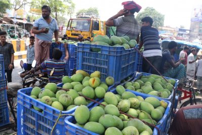 রাজশাহীতে আমের বাজার লাগামহীন, দাম বেড়েছে দ্বিগুণ