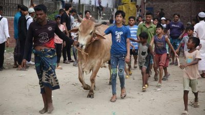 রাজধানীর হাটগুলোতে আসছে কোরবানির পশু