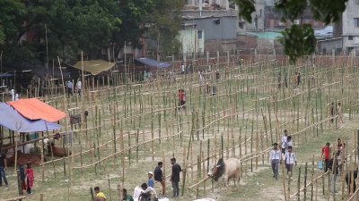 প্রস্তুত রাজধানীর হাটগুলো
