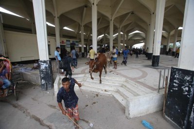 ট্রেনে ঢাকায় আসছে কোরবানির গরু