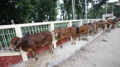 বুধবার রাতে ইসলামপুর রেলস্টেশন থেকে ঢাকার উদ্দেশে ছেড়ে আসে প্রথম ট্রেন
