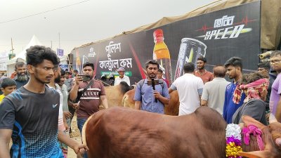 পশুর হাটে ইউটিউবার ও টিকটকারের উৎপাত