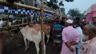 পশুর হাটে সক্রিয় দালালরা, ছবি: প্রতিবেদক