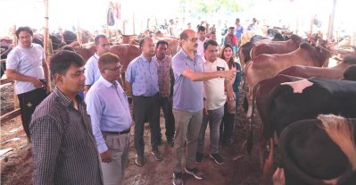  মোহাম্মদপুর বছিলা কোরবানির পশুর হাট পরিদর্শন করেন মেয়র আতিকুল ইসলাম 