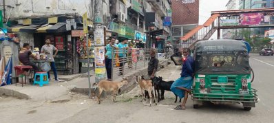 ঢাকার বেশিরভাগ এলাকায় রাস্তার ওপর ছাগল বিক্রি হতে দেখা গেছে রবিবার