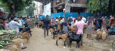 প্রত্যাশিত বেচাবিক্রির পর ছাগল বিক্রেতারাও খুশি 