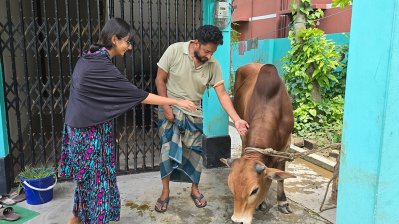 মাহমুদ উজ জামান নিজেই গরুটি জবাই করেছেন