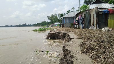 নদীগর্ভে বিলীন একের পর এক বসতভিটা, তিস্তার তীরে বুকফাটা কান্না