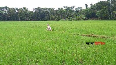 কৃষিজমি ‘নাল’ দেখিয়ে স্টেডিয়াম তৈরির প্রস্তাব, কৃষকরা বললেন, ‘দরকার নেই’