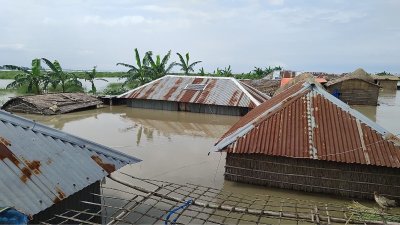 ব্রহ্মপুত্রের চরে টিকে থাকার লড়াই, পরিস্থিতি আরও অবনতির আশঙ্কা