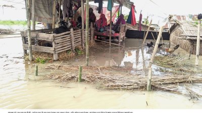 ব্রহ্মপুত্রের চরে টিকে থাকার লড়াই, পরিস্থিতি আরও অবনতির আশঙ্কা