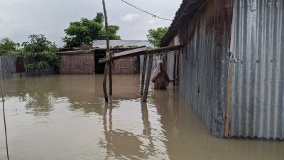 ব্রহ্মপুত্রের চরে টিকে থাকার লড়াই, পরিস্থিতি আরও অবনতির আশঙ্কা