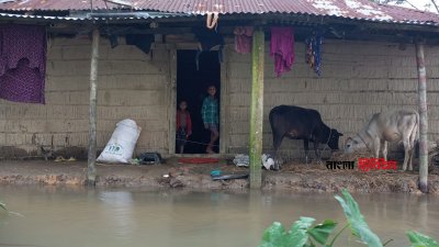 সীমান্তবর্তী উপজেলাগুলোতে বন্যা পরিস্থিতির তেমন কোনও উন্নতি হয়নি