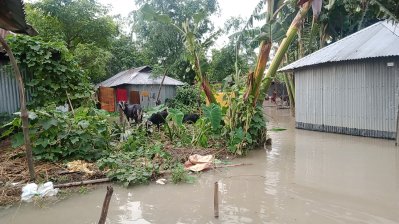 লালমনিরহাট শহর রক্ষা বাঁধটিতে ধস দেখা দিয়েছে