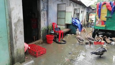 নোয়াখালীতে ডুবে আছে ঘরবাড়ি-রাস্তাঘাট-ফসল, কষ্টে আছে মানুষ