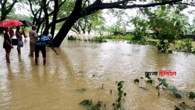 মীরসরাইয়ে পানিবন্দি ৬০ হাজার পরিবার, মাছ ও কৃষির ব্যাপক ক্ষতি