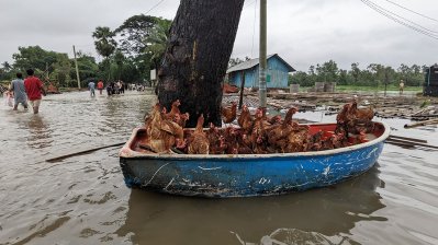 নিরাপদ আশ্রয়ের খোঁজে মীরসরাইয়ের বাসিন্দারা, পানিবন্দি ৭০ হাজার পরিবার