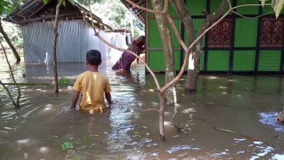 ফেনীতে বন্যায় ঘরবাড়ি ডুবে ভোগান্তিতে পোহাচ্ছে হাজারো পরিবার (ছবি: জেলা প্রতিনিধি)