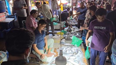 ভরা মৌসুমেও ইলিশের দাম চড়া, সিন্ডিকেটকে দুষছেন ক্রেতারা