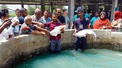 মোবাইল অ্যাপের সাহায্যে মাছ চাষ, লাভবান চাষি