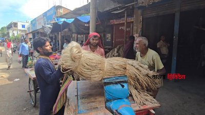 পাটের ফলন ও দাম কম, লোকসানের মুখে চাষিরা