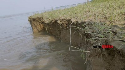 বিশেষ করে ভাঙনের শিকার হয়েছে তালবাড়িয়ার বারুইপাড়া, খাদিমপুর, সাহেবনগর, মির্জানগর ও ঘোড়ামারাসহ বেশ কিছু এলাকা