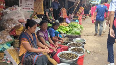 আবারও কর্মব্যস্ত হয়ে উঠছেন পাহাড়ের বাসিন্দারা