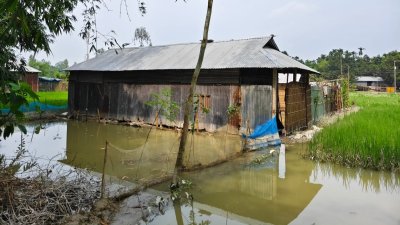 লোকালয় থেকে পানি নামছে, কুড়িগ্রামে বন্যা পরিস্থিতির উন্নতি