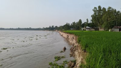 পাঁচ দিনে গৃহহীন ৭০ পরিবার: ধরলার ‘পাগলামি’তে পাউবোর ‘আলসেমি’